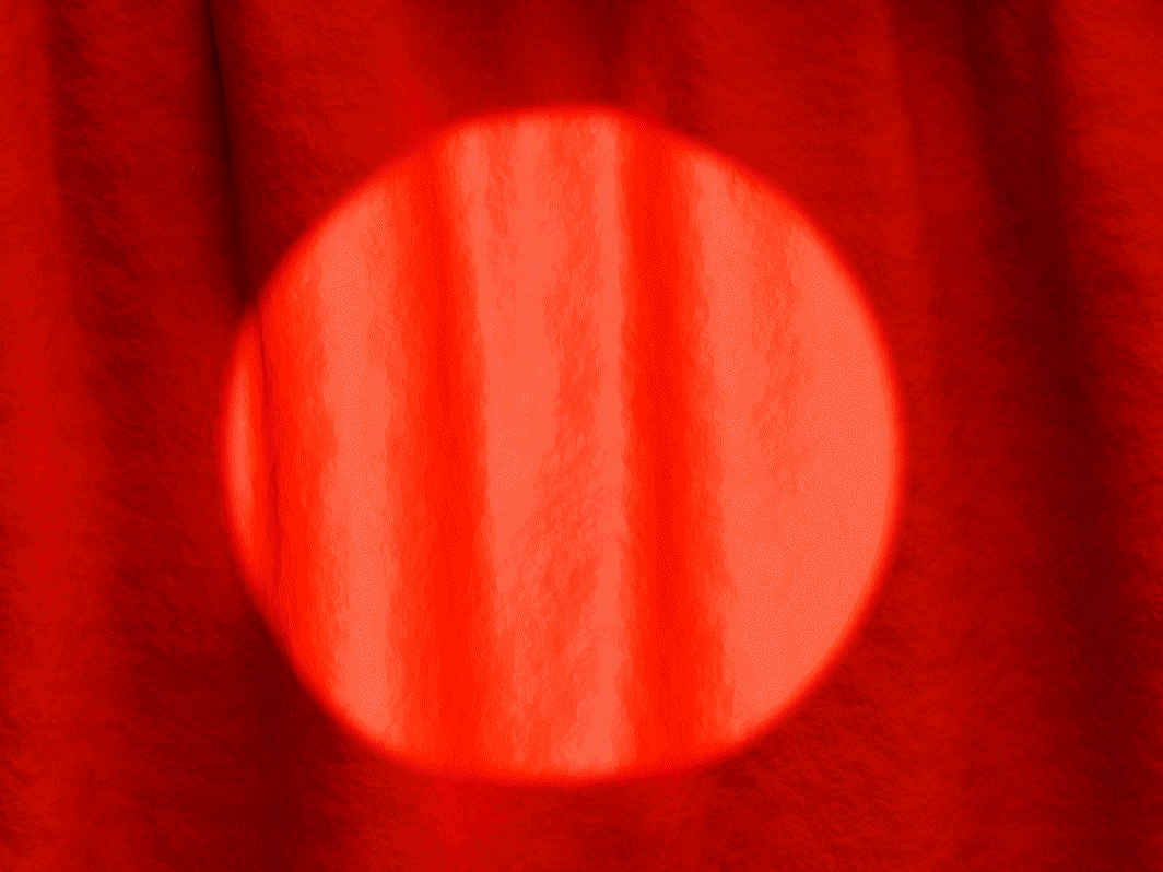 The Best Performances of 2025